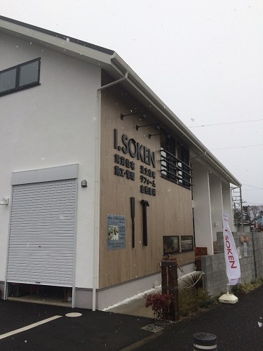 ちょっぴり遅い冬の訪れ