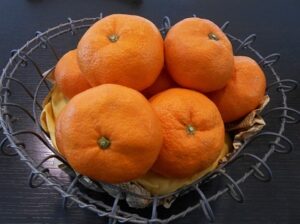 秦野　注文住宅