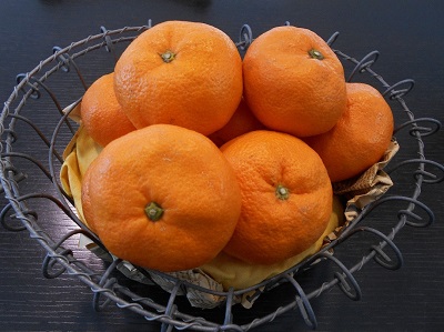 お客様からの頂きもの