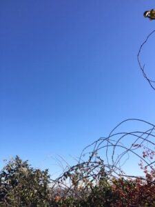 無添加住宅　横浜