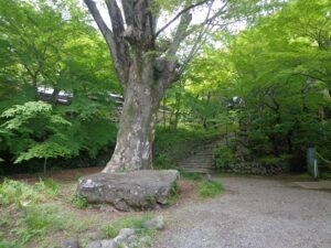 建物探訪　住宅