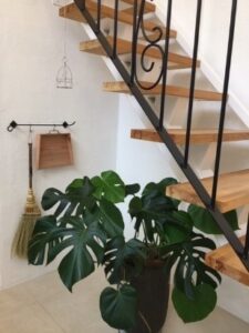 横浜　無添加住宅