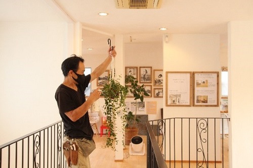 観葉植物ドクター