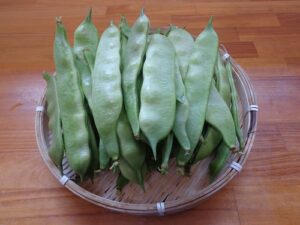 無添加住宅　神奈川