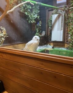 藤沢　湘南台　カフェの家