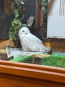 藤沢　湘南台　カフェの家