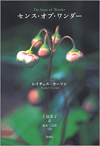 センス・オブ・ワンダーを大切に(3)そして空色のお話