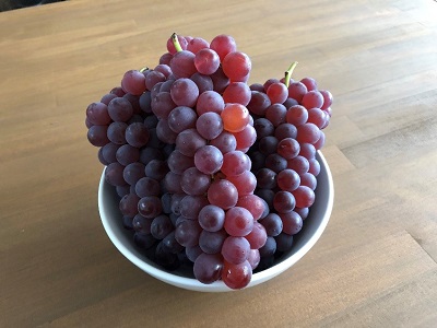 お客様からの頂きもの