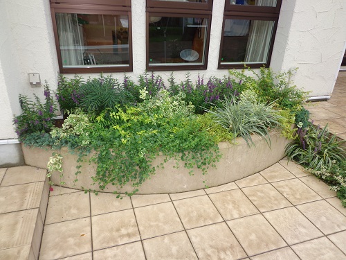 ナチュラルガーデン