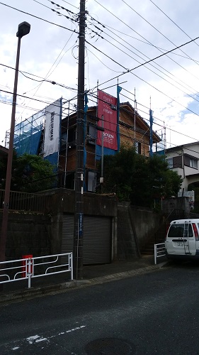 hirono11.jpg