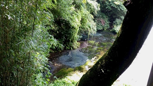柿田川湧水群