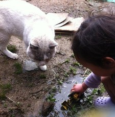 雨の日。子どもだからこそ(2)