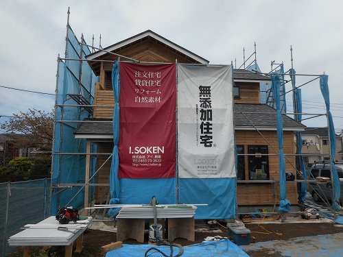 oiso_t1.JPG