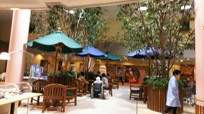 母がお世話になる施設