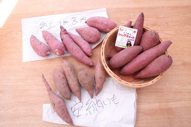 お客様からのいただき物