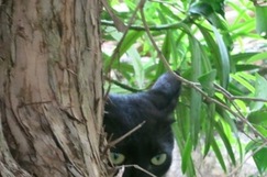 雨の日。子どもだからこそ(3)