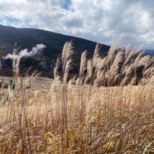 季節　四季　写真　景色　秋　冬　自然　天然　注文住宅　