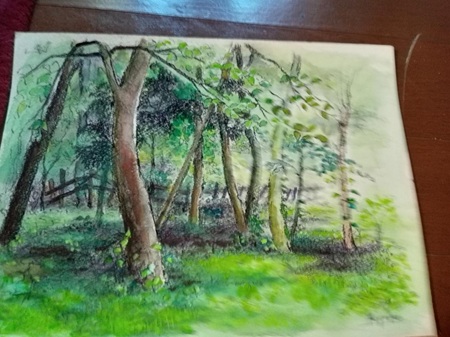 工務店のスタッフブロブ　美術館めぐり②　相模原市水彩画美術館